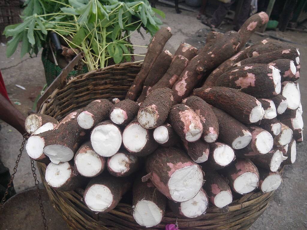 cassava flour