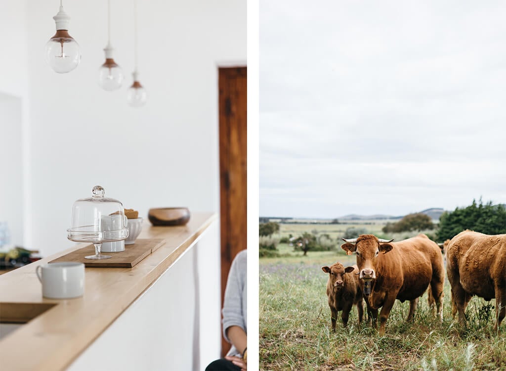 Food & Lifestyle Photography Workshop: Alentejo, Portugal