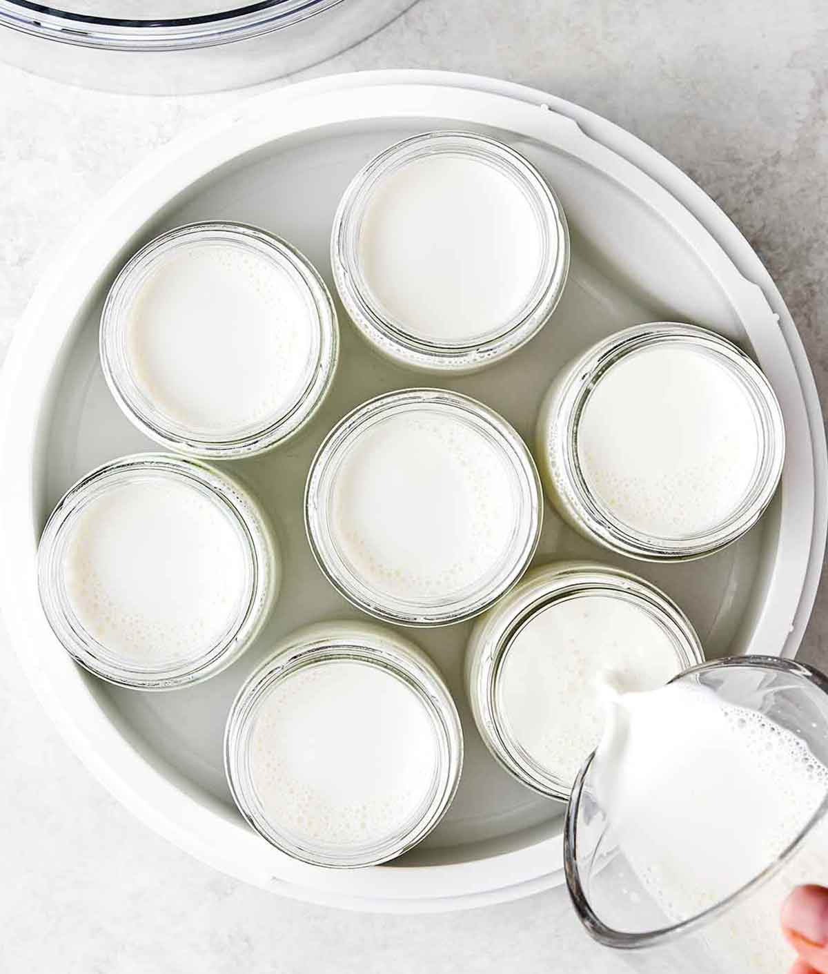 Step four of homemade yogurt: Incubate the yogurt.