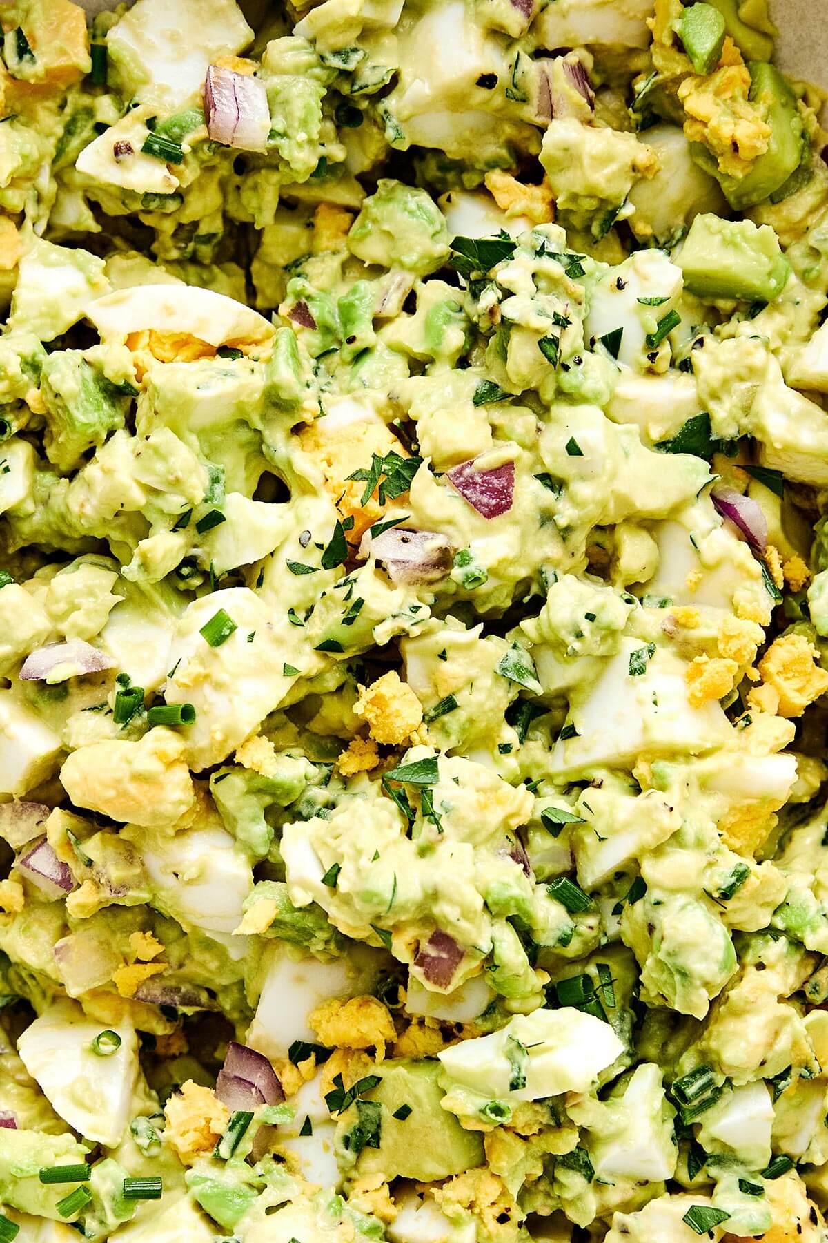 This avocado egg salad is a healthy twist on your classic egg salad with creamy avocado and fresh herbs—a salad recipe you'll love! Healthy avocado egg salad recipe.