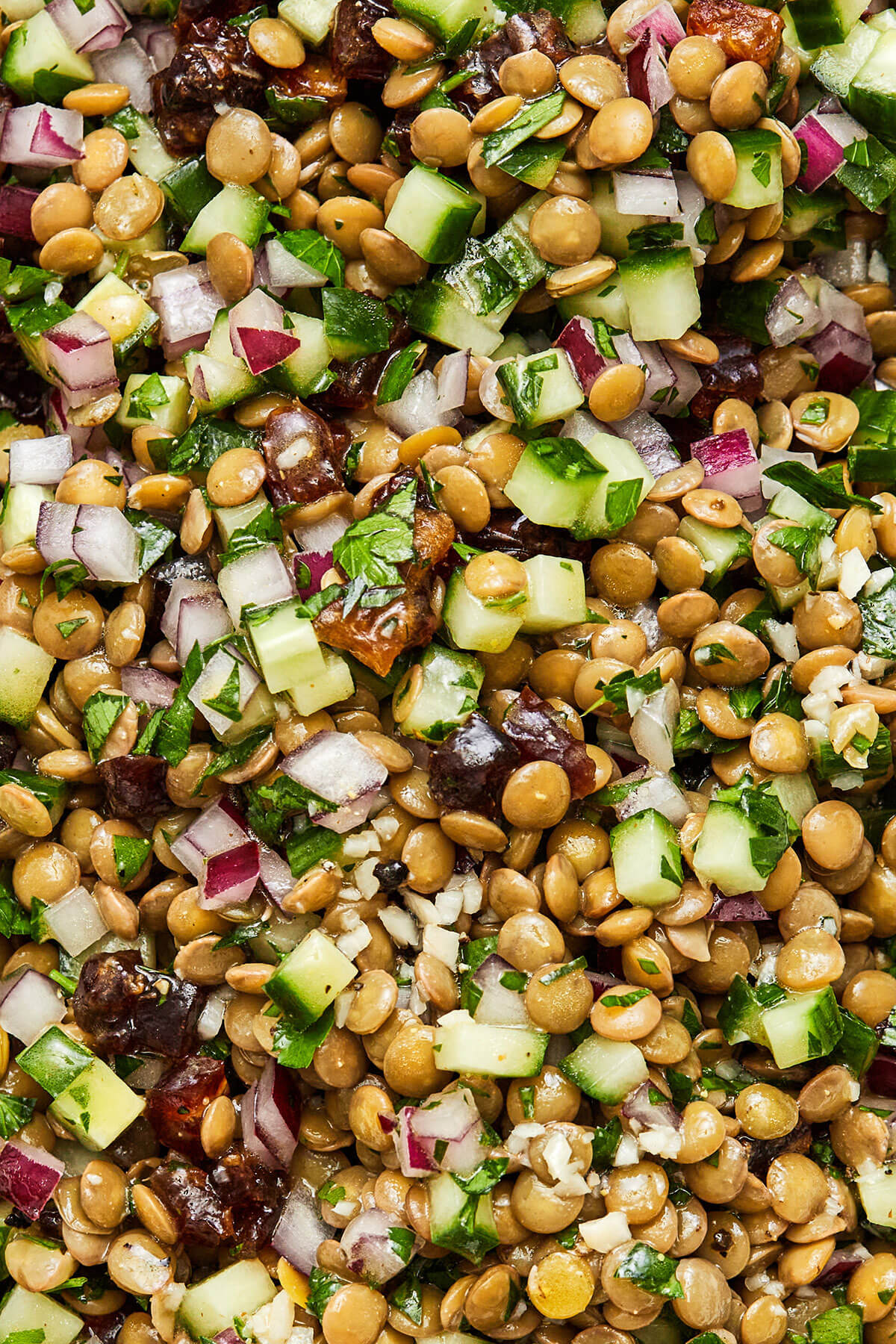 This lentil salad is crisp, fresh, and light with diced cucumber, red onion, dates, fresh herbs, and a bright lemon vinaigrette. A close up of lentil salad.