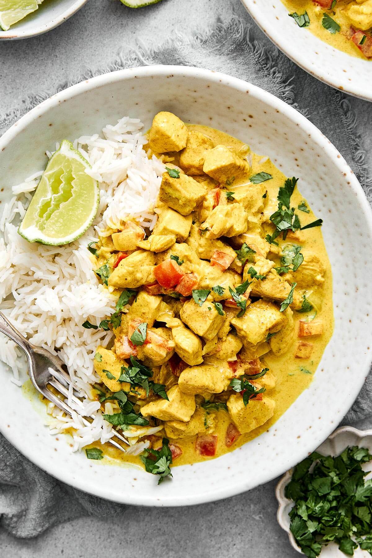 Coconut curry chicken with rice.