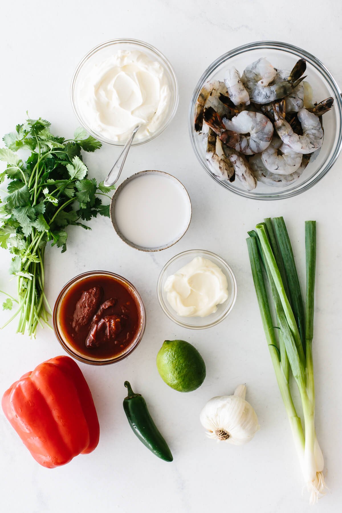 Ingredients for making the recipe on a white background.