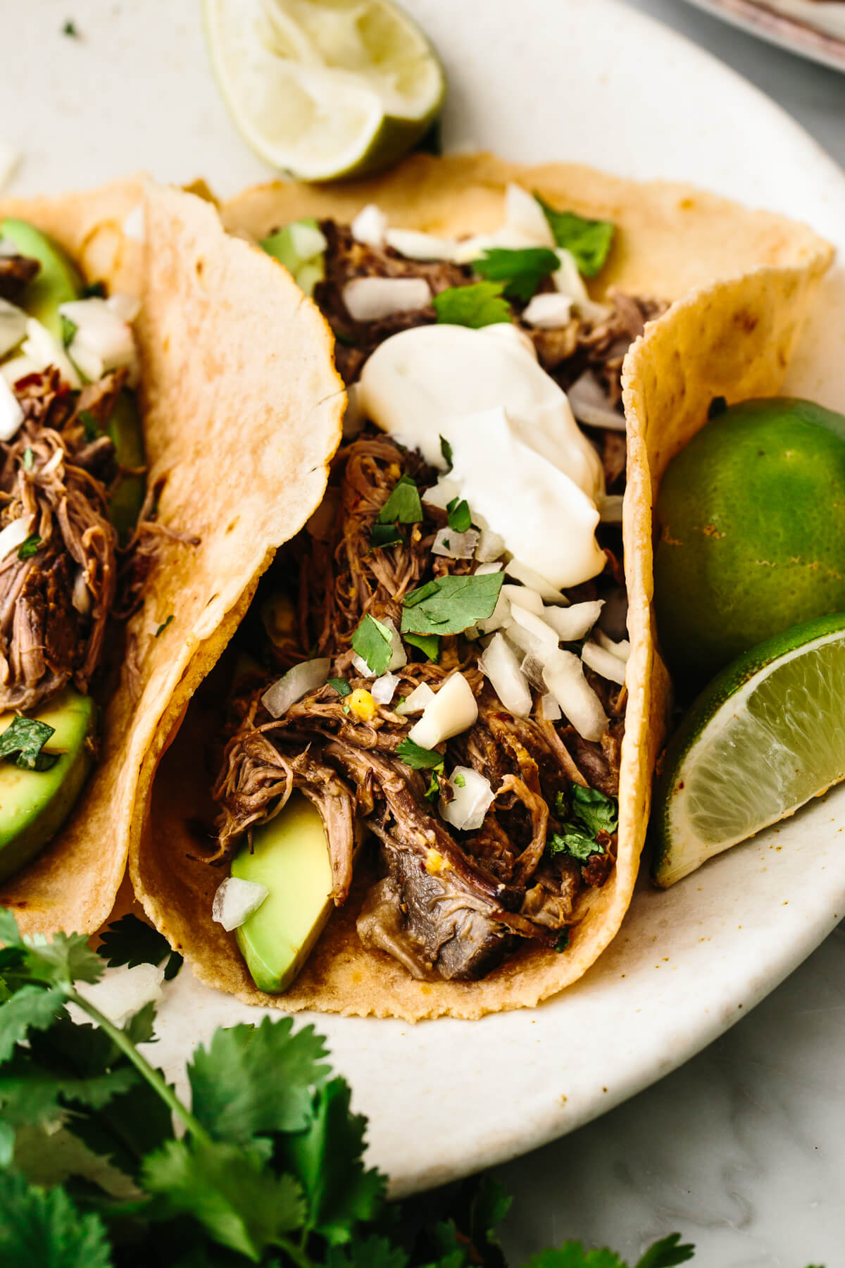 A plate of barbacoa beef tacos.