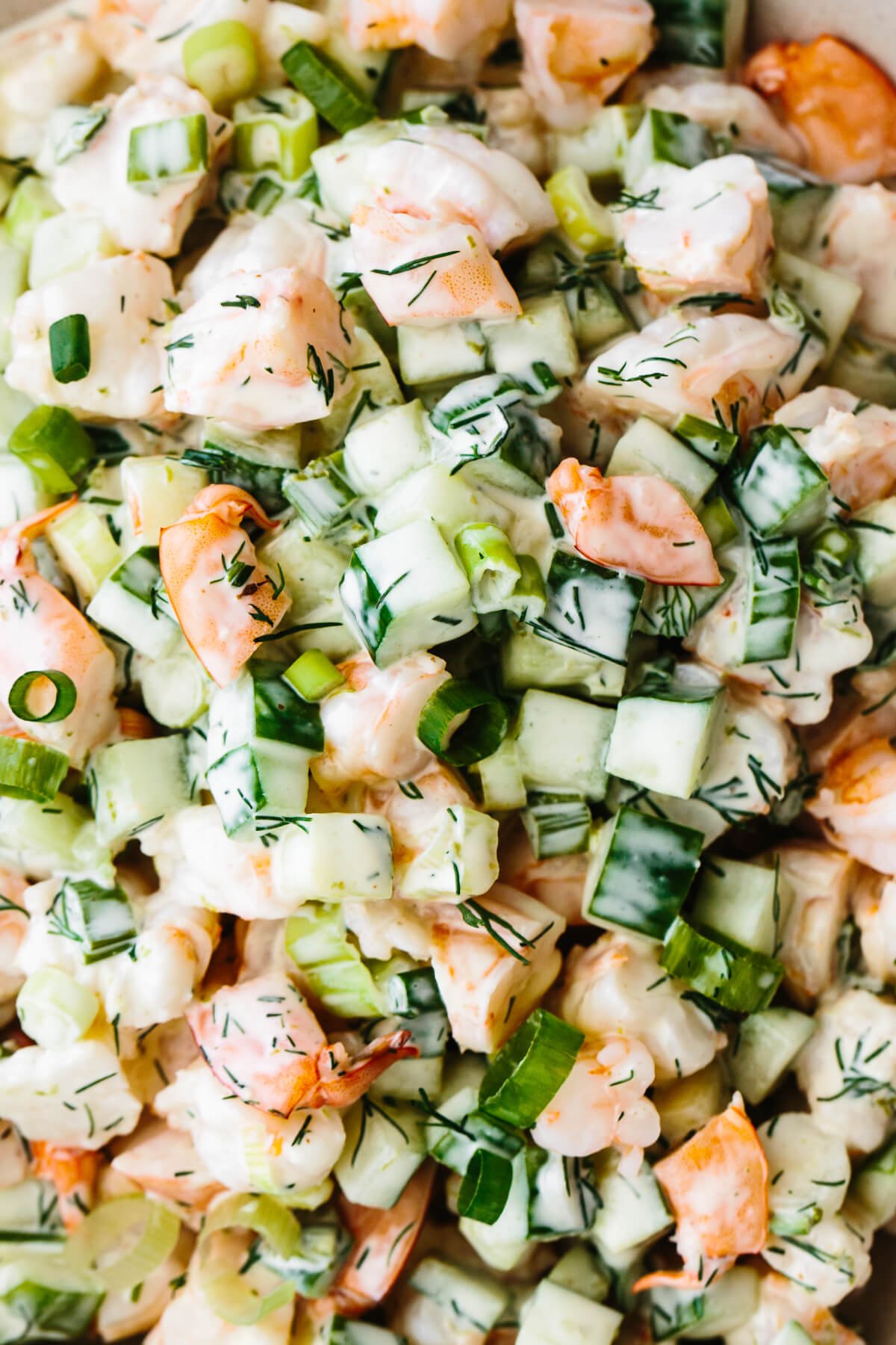 This cucumber shrimp salad is everything you love about an easy and healthy salad recipe, but with a fresh twist! Close up of cucumber shrimp salad