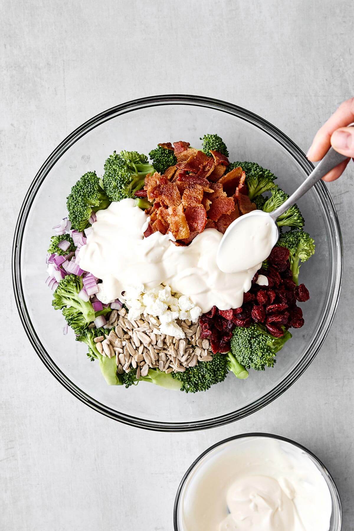 Everyone loves this broccoli salad recipe! With bacon, cranberries, and a creamy dressing, it's the perfect party side dish. How to make broccoli salad.