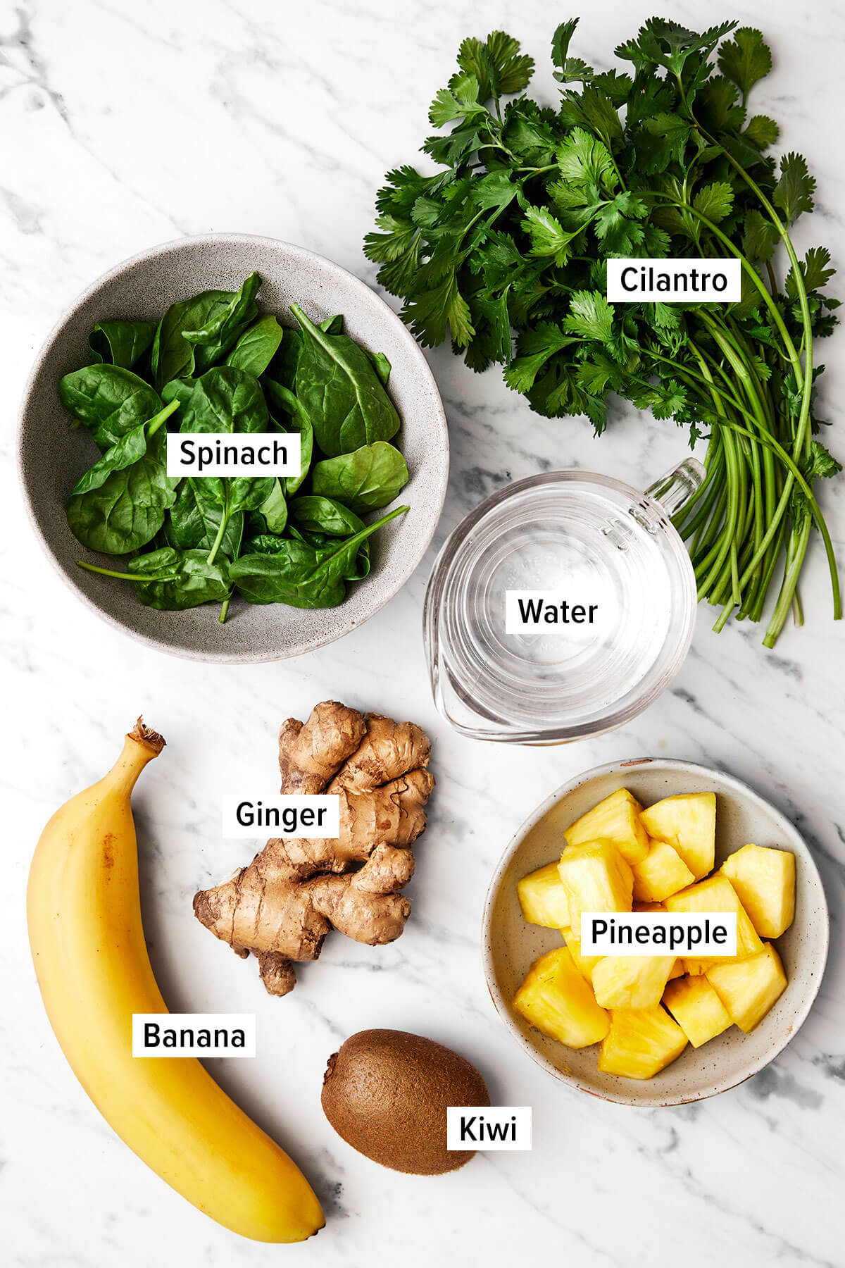 Cilantro smoothie ingredients