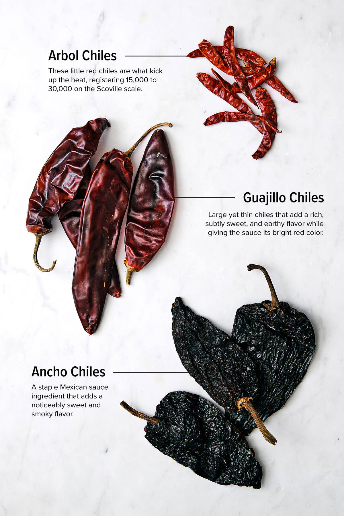 Mexican birria de res is a hearty slow-cooked stew with the utmost flavor and juicy, tender beef. Serve it as is or make birria tacos! The different chiles for birria sauce.