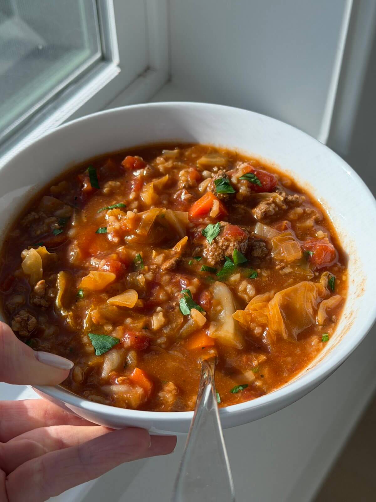 Holding a bowl of cabbage roll soup.