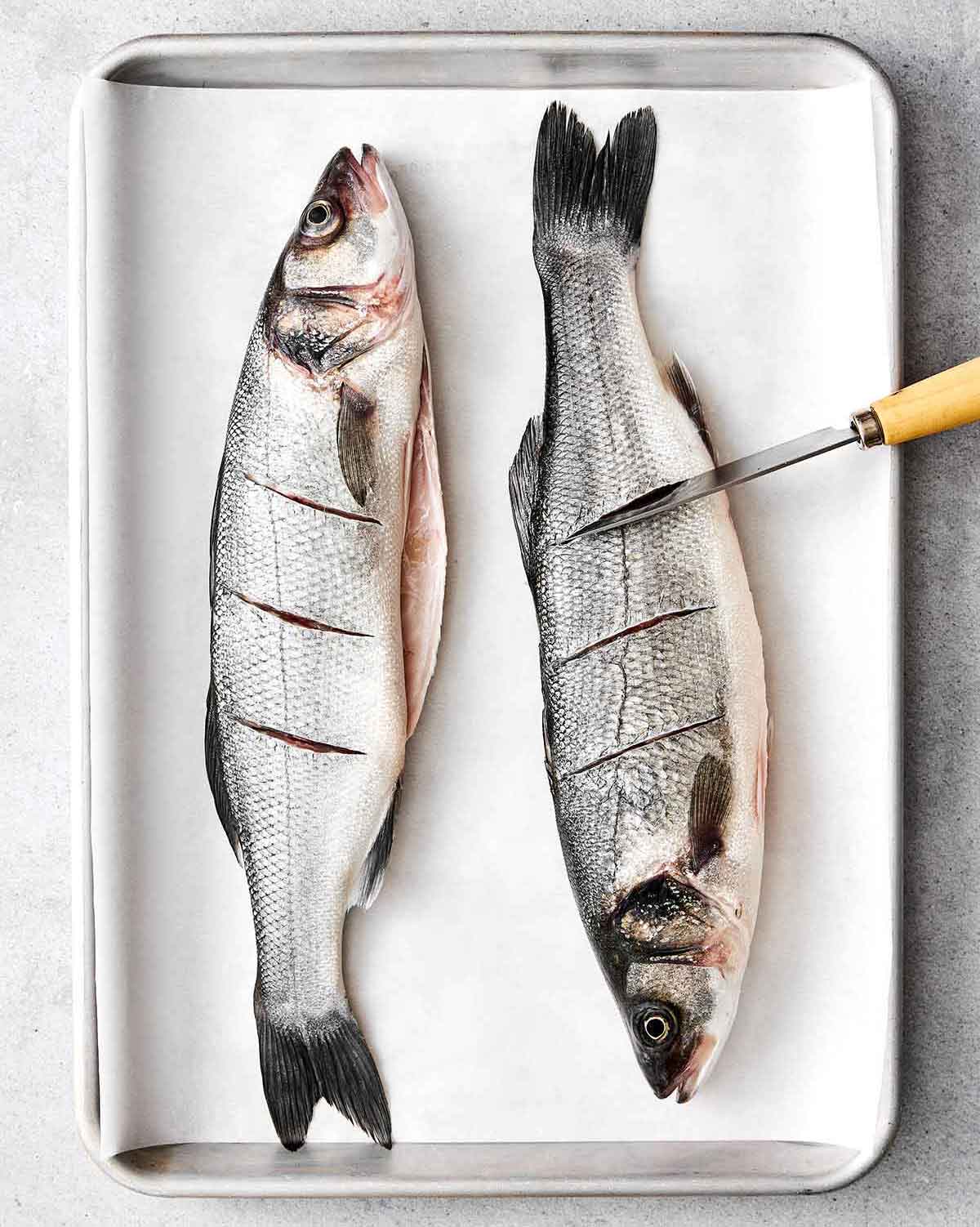 Slicing branzino before roasting.